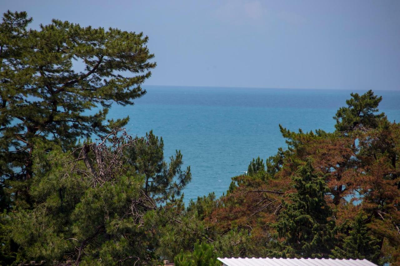 Chveni Ezo Boutique Hotel Kobuleti ภายนอก รูปภาพ